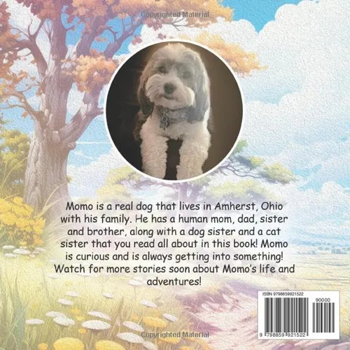 Vista 2 de Momo's Stray Cat (Momo Stories)