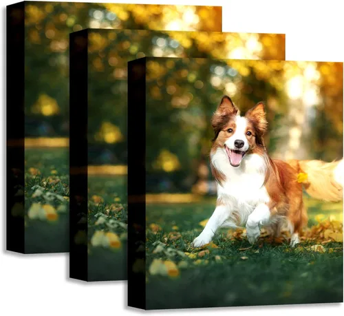 Vista 8 de YK artwood Lienzo Personalizado Subir Imágenes 12x16 pulgadas - Impresiones de Lienzo Personalizadas con Tus Fotos - Cuadros de Lienzo