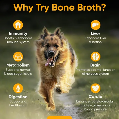 Vista 3 de iHeartDogs Caldo de huesos y colágeno para perros, caldo de huesos y hongos en polvo dorado para apoyo del sistema inmunológico, movilidad