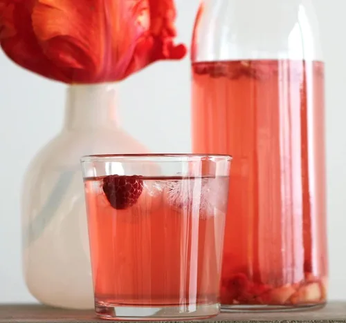 Vista 4 de Polvo de bebida probiótica fermentada de granos de kéfir de agua deshidratada para una salud intestinal más fuerte El iniciador de reliquia ofrece