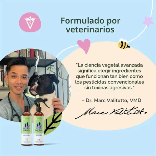 Vista 6 de Kit de protección contra garrapatas (champú de lavanda - spray de lavanda)