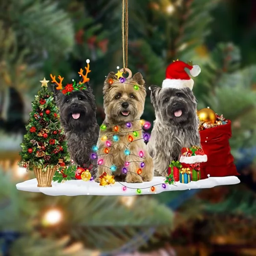 Vista 90 de Nazenti Adorno de Navidad personalizado con amigos Affenpinscher – Adorno de perro personalizado para amantes de las mascotas, acrílico plano