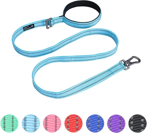 Vista 10 de EXCELLENT ELITE SPANKER Correa de nailon reflectante de doble capa para perro, con asa acolchada, correas de nailon de 5 pies para perros para Negro