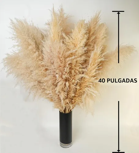 Vista 2 de 10 tallos de hierba de las pampas de 40 pulgadas de alto en color beige natural, añade un toque bohemio a tu espacio: hierba de las pampas ideal