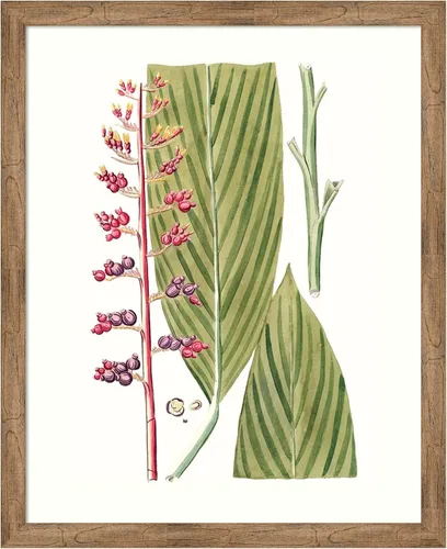 Vista 9 de Amanti Art Lienzo decorativo para pared enmarcado de 24 x 20 pulgadas, hojas de los trópicos III por Vision Studio, arte de pared de naturaleza