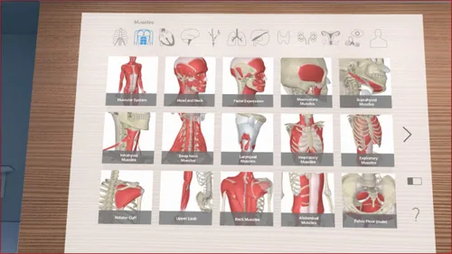 Vista 2 de 3D Organon VR Anatomy - Instant Access