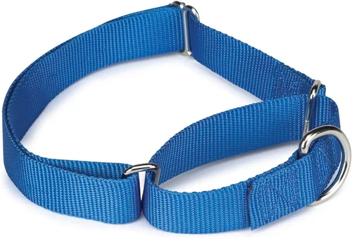 Vista 6 de Guardian Gear Collar de perro martingala de nailon, se adapta a cuellos de 10 a 16 pulgadas, color negro