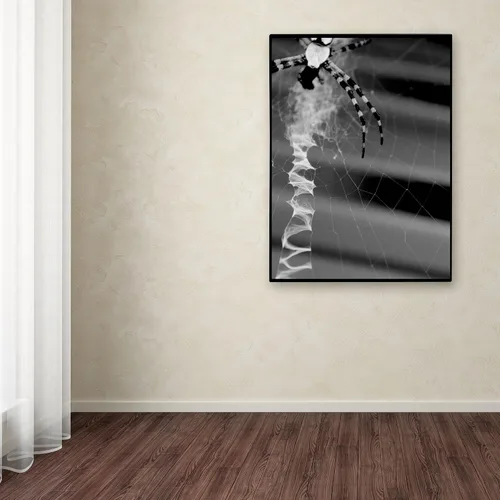 Vista 3 de Trademark Fine Art Patty Tuggle - Arte enmarcado con diseño de araña y tela en blanco y negro con marco de madera, 11 x 14 pulgadas