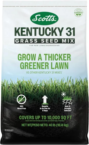 Vista 12 de Scotts Mezcla de semillas de césped Kentucky 31 para césped nuevo o sobresiembra, crece más gruesa y verde en comparación con otras mezclas Kentucky