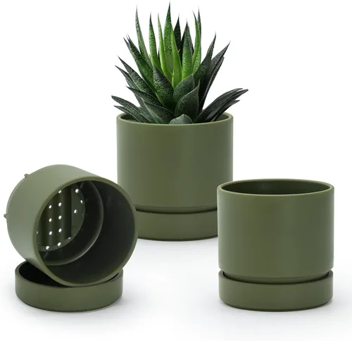 Vista 17 de Phoenix Vine 4 Inch Planter Pot with Drainage Hole & Saucer, Deep Water Catch Tray, Straight Cylindrical Round Pot for Plants, Olive, Pack of 1