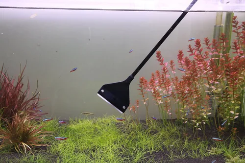 Vista 5 de Cepillo limpiador de algas para acuario con 10 cuchillas de acero inoxidable para peces, arrecife, plantas, tanque de vidrio, 26 pulgadas