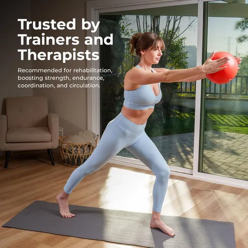 Vista 7 de Sunny Health & Fitness Pelota de ejercicio antiestallidos de alta calidad para fuerza central, yoga, pilates, barra, terapia física, equilibrio