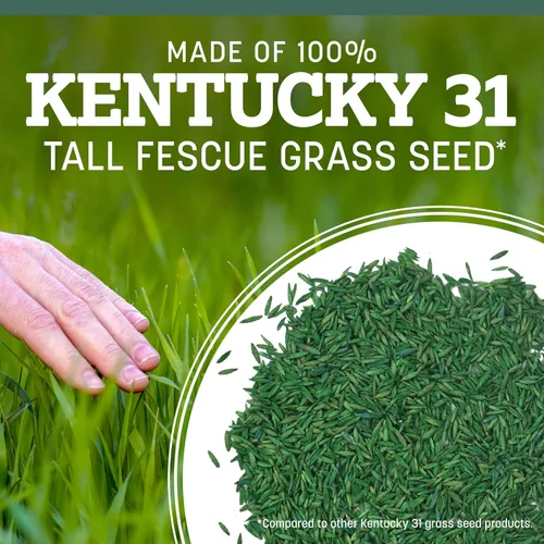 Vista 6 de Pennington Kentucky 31 Semilla de Césped Festuca Alta Penkoted 7 lb