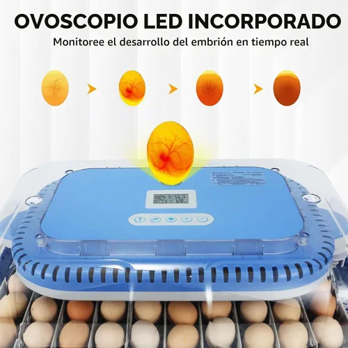 Vista 6 de Serie IV - Incubadora de 70 huevos para criadores, humedad precisa basada en sensores + control de temperatura, separador de pollitos, espaciado