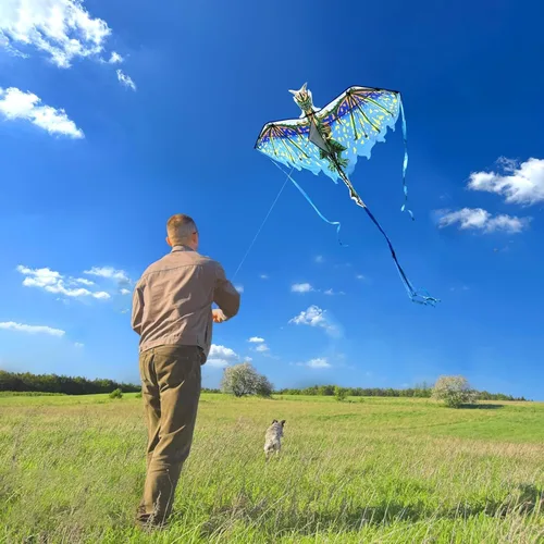 Vista 2 de Mint's Colorful Life Dragon Kite for Kids & Adults, Easy to Fly Best Beach Kites for Beginners, 300ft Kite String Included Verde