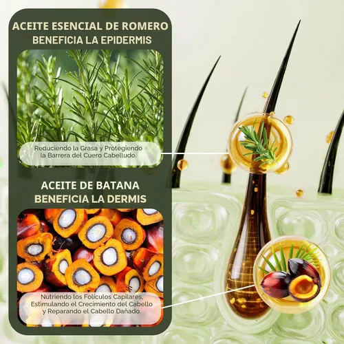 Vista 5 de Juego de champú y acondicionador de aceite Batana para el crecimiento