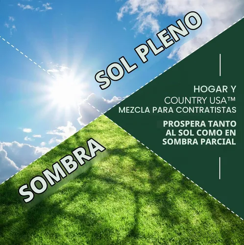 Vista 5 de Contractors Choice - Semillas de césped prémium para césped, ideal para pleno sol y sombra, semillas de césped de 25 libras
