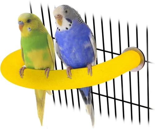 Vista 15 de Rypet Percha para Loros de Superficie Rugosa - Perchas de Arena de Cuarzo para Jaula de Pájaros para Pequeños Periquitos, Cacatúas, Conures