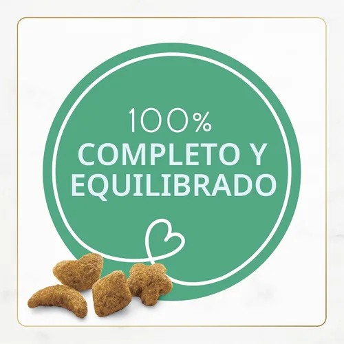 Vista 3 de Purina Fancy Feast - Alimento seco para gatos con pescado y salmón del océano (paquete de 4) bolsas de 16 onzas