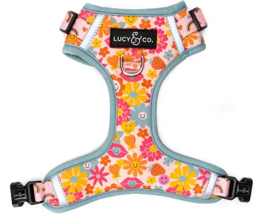Vista 6 de Lucy & Co. The Bolt of Lightning Arnés para perro sin tirones para perros, chaleco para dejar de tirar y caminar fácilmente, cómodo producto