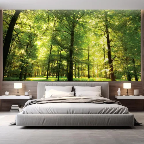 Vista 100 de wall26 Mural de pared extraíble mural de pared cascada escénica luz del sol río bosque naturaleza vida silvestre fotografía realismo paisaje rústico