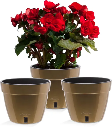 Vista 19 de Santino Macetas de 4.9 Pulgadas ORCHIDEA de Riego Automático para Orquídeas en Grafito - Maceta Decorativa para Sembrar con Excelente Aireación