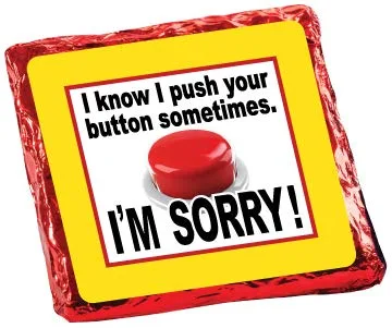 Vista 6 de I'M SORRY - GRAHAMS CUBIERTOS DE CHOCOLATE "COOKIE TALK" - 6PC