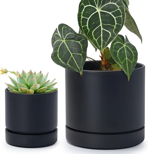 Vista 52 de Phoenix Vine 4 Inch Planter Pot with Drainage Hole & Saucer, Deep Water Catch Tray, Straight Cylindrical Round Pot for Plants, Olive, Pack of 1