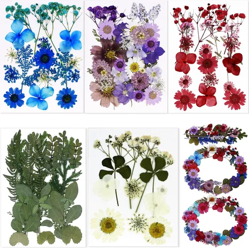 Vista 9 de BIHRTC 100 hojas secas prensadas naturales, hojas secas prensadas, girasoles, crisantemo, margaritas para manualidades, resina, joyería, fabricación