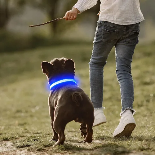Vista 6 de Collar de perro LED, collar con luz para perro, para caminar por la noche Azul-2
