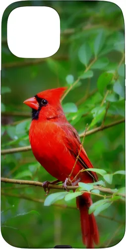 Vista 9 de Hermosa cardenal pájaro rojo escena de la naturaleza caso para iPhone 17