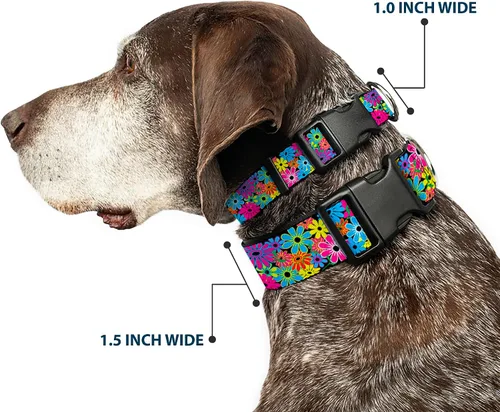 Vista 2 de Buckle-Down Collar de clip de plástico, flor de flor, 1 pulgada de ancho, se adapta a cuello de 9 a 15 pulgadas, pequeño