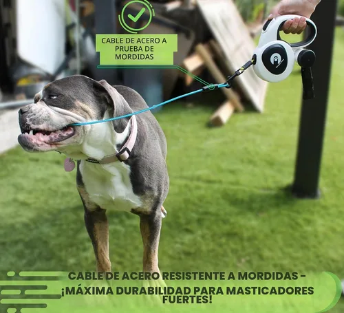 Vista 5 de Snuggle Paws - Correa retráctil todo en uno para perros pequeños