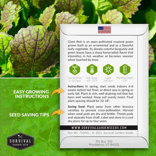 Vista 2 de Semillas gigantes de color verde mostaza roja para plantar, hojas de borgoña picantes sin OMG para jardines de otoño y primavera, variedad culinaria