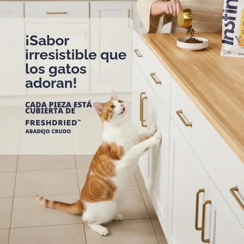 Vista 4 de Instinct Original - Alimento seco para gatos, Chicken Croquetas crudas con pollo sin jaula para músculos fuertes, salud digestiva y piel y pelaje