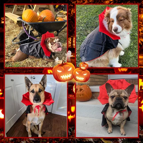 Vista 5 de GOYOSWA Disfraz de Halloween para perro, disfraz de vampiro, capa de vampiro, capa de vampiro, disfraz de Halloween para perros pequeños, medianos