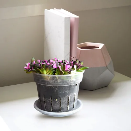 Vista 8 de DOITOOL Plantas de interior macetas de orquídeas, macetas de plástico para orquídeas con agujeros y platillos, macetas de orquídeas transparentes