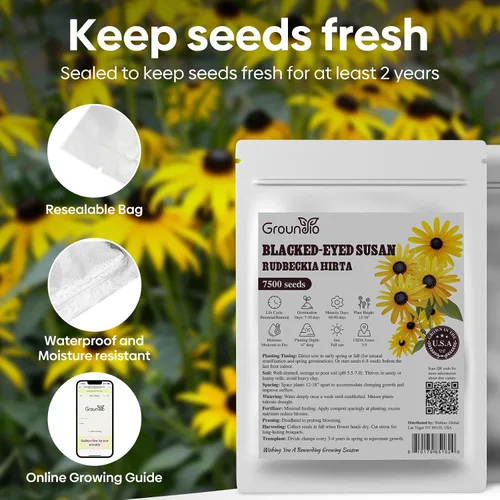 Vista 6 de Groundio Black Eyed Susan Seeds, más de 7500 semillas de flores perennes para plantar en interiores y exteriores, atraen polinizadores Sin OMG