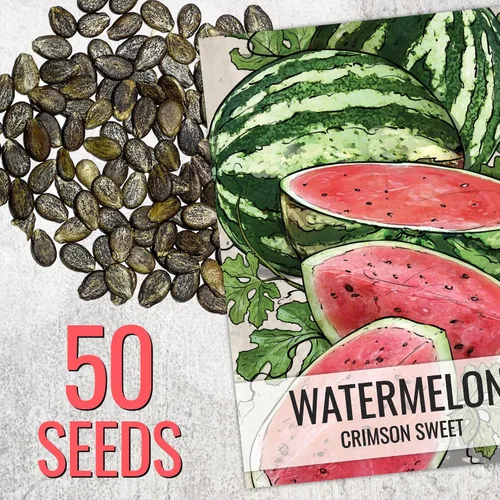 Vista 2 de Seed Needs Semilla de sandía dulce carmesí para plantar reliquia sin OMG 1 paquete