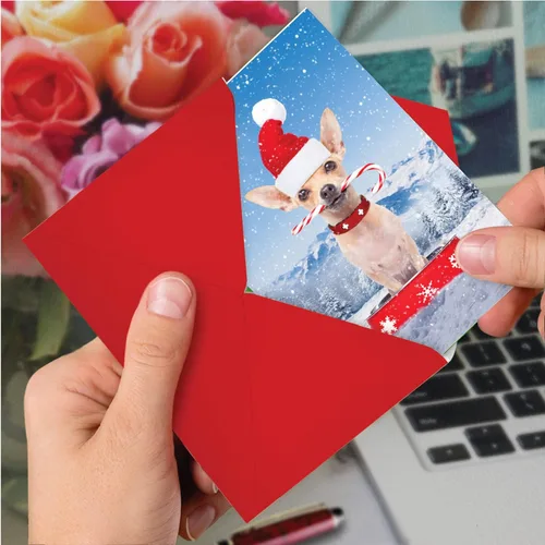 Vista 6 de The Best Card Company - Tarjeta de felicitación de Feliz Navidad con sobre (4.63 x 6.75 pulgadas) - Canine Antics C3194GXSG