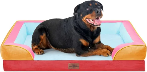 Vista 204 de Comfort Expression - Cama ortopédica para perros medianos, 28 x 19 pulgadas, cama impermeable y de apoyo de espuma con cojines removibles, sofá