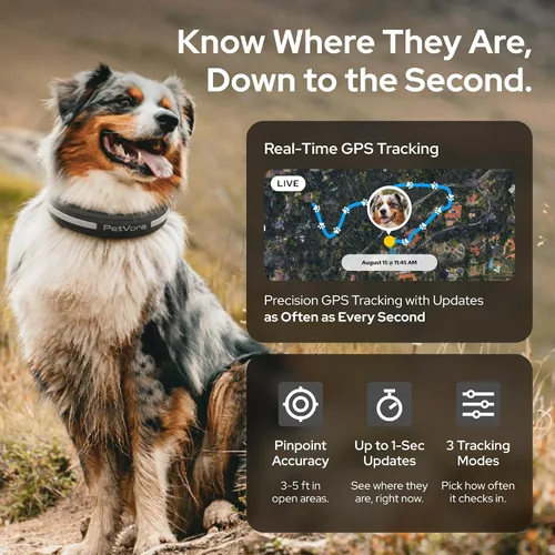 Vista 5 de Collar inteligente GPS para perro, seguimiento en tiempo real