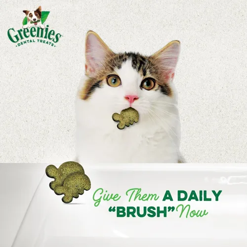 Vista 3 de Greenies Golosinas dentales naturales para gatos adultos recomendadas por veterinarios felinos, sabor hierba gatera, bolsa de 2.1 onzas