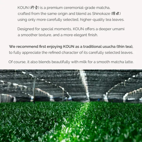 Vista 5 de TAKENAKAEN SASHICHI - Polvo de matcha japonés "Kouun no Shiro" grado ceremonial de 1.06 oz, grado premium, fabricado en Japón