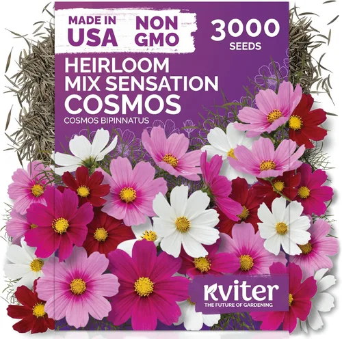 Vista 40 de KVITER 15,000 semillas de rosa musgo mixta para plantar (Portulaca grandiflora) – Cubierta de suelo con floración de reliquia, semilla de Portulaca