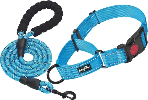 Vista 9 de haapaw Martingale - Collar de perro con hebilla de liberación rápida reflectante para perros pequeños, medianos y grandes