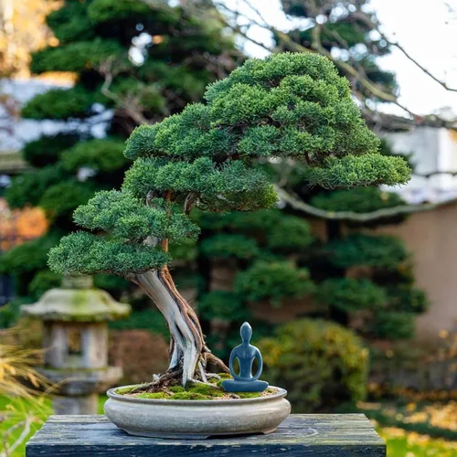 Vista 7 de Estatua de postura de yoga, figura de decoración zen, escultura de cerámica azul para decoración de escritorio del hogar, 2.1 x 3.3 pulgadas, 1