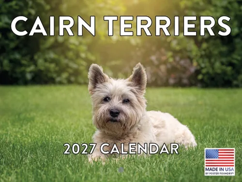 Vista 14 de Calendario mensual de pared Airedale Terrier Dog 2027