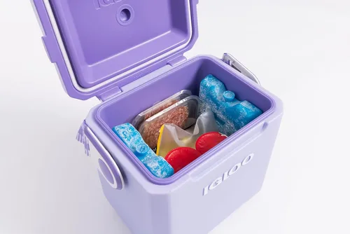 Vista 5 de Igloo Maxcold Ice Block