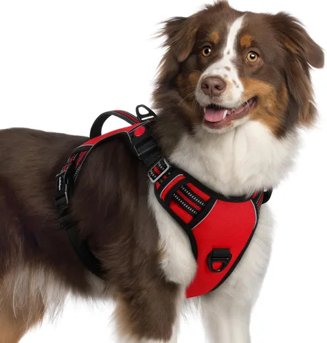 Vista 37 de rabbitgoo Arnés para perro de tamaño pequeño, arnés para mascotas sin tirones con mango acolchado suave, chaleco reflectante ajustable con 3